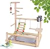Parrot Playstand Bird Playground Wood Perch Gym Playpen with Feeder Cup Ladder Swing Tray - Play Stand Exercise Toys Cage Accessories Playgym for Pet Cockatiel Parakeets Budgie #1