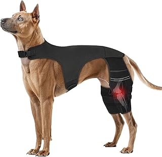 Extend Joint Care For Dogs Picks collage image 3