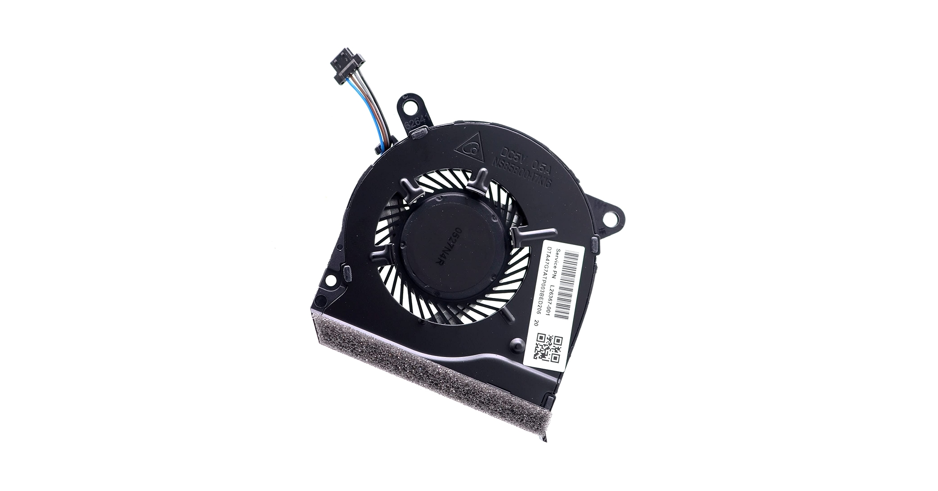 ファン　トン　 41H+n9Sh6RL.jpg