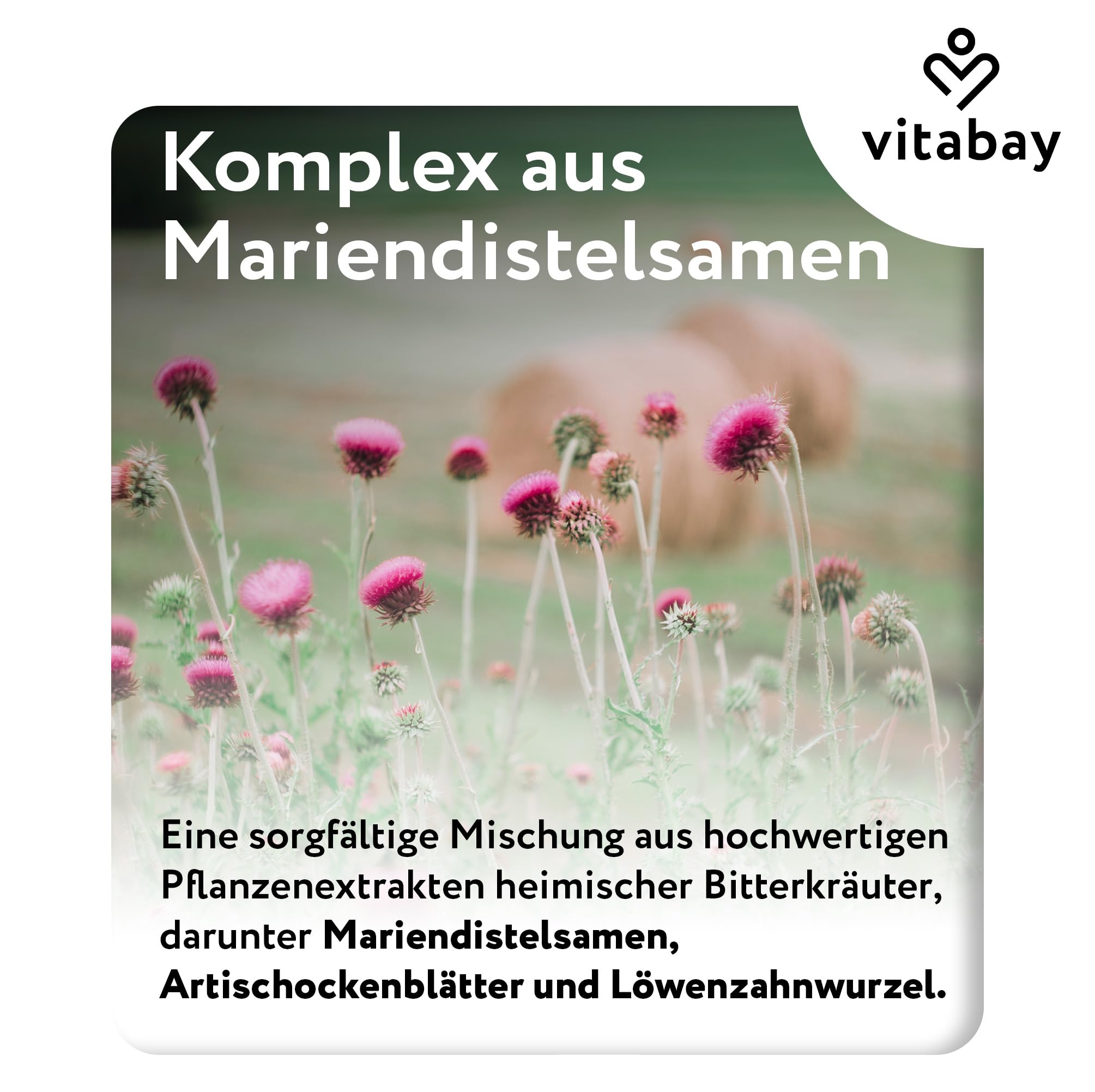 Vitabay Mariendistel-Artischocke-Löwenzahn Komplex – 270 vegane Kapseln