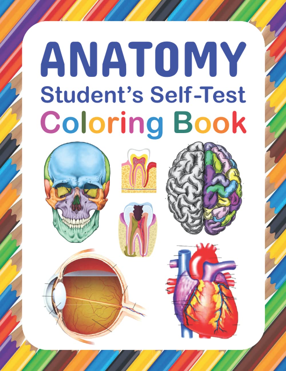 Buy Anatomy Student's SelfTest Coloring Book Fun & Easy Human Anatomy
