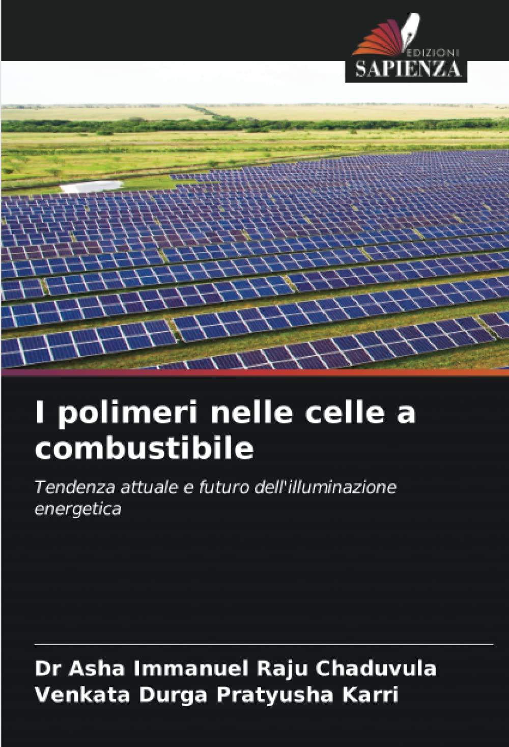 I polimeri nelle celle a combustibile: Tendenza attuale e futuro dell'illuminazione energetica