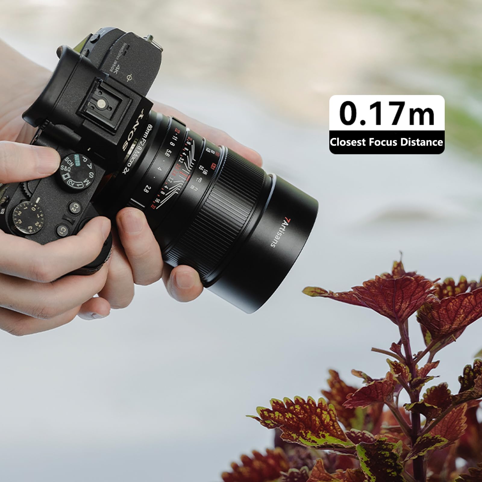 7artisans 60mm F2.8 II Sony E mount Macro Lens 2:1 Magnification