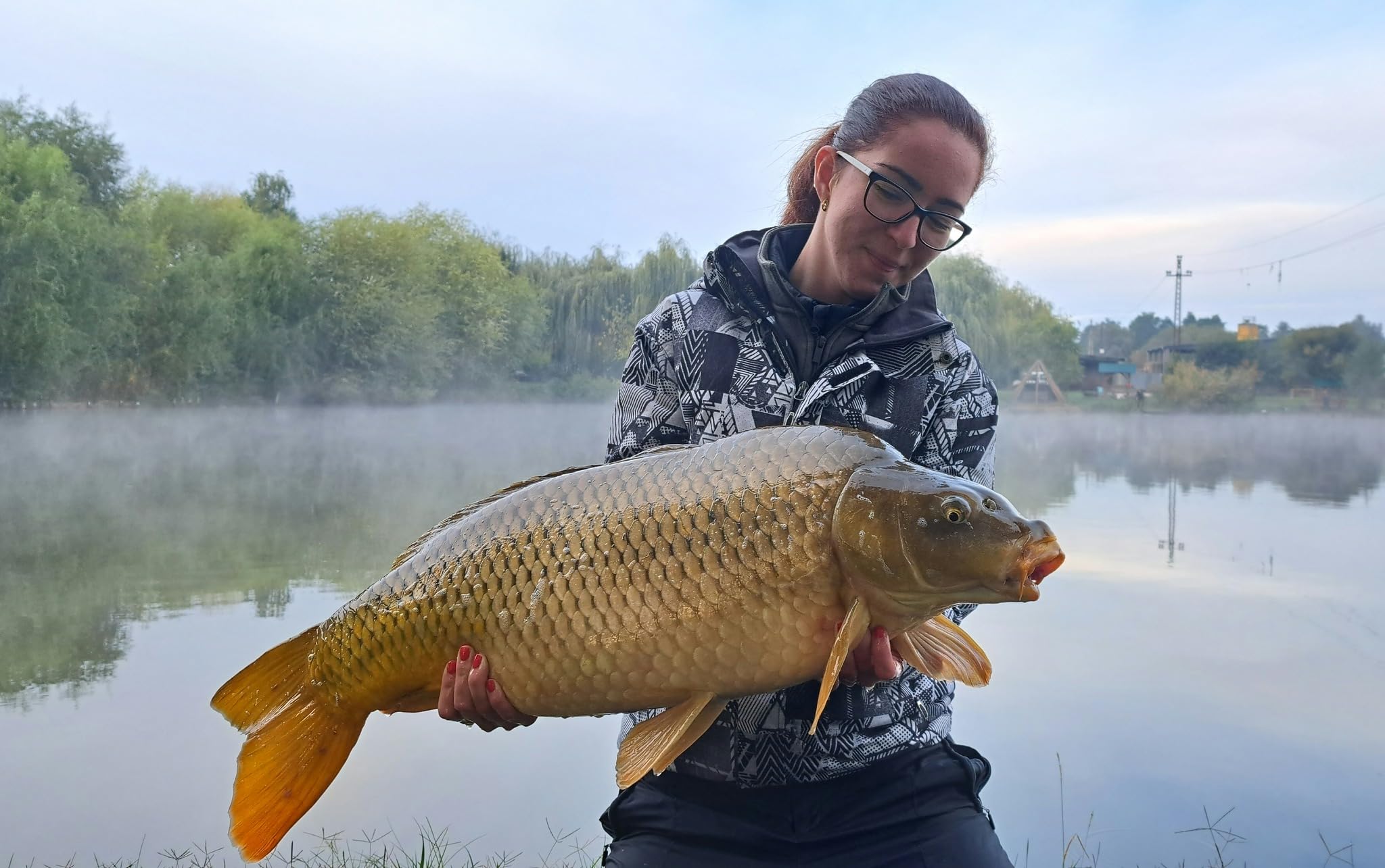3kg Premium Method B2 Kaltwasser Natural Pellets im Eimer