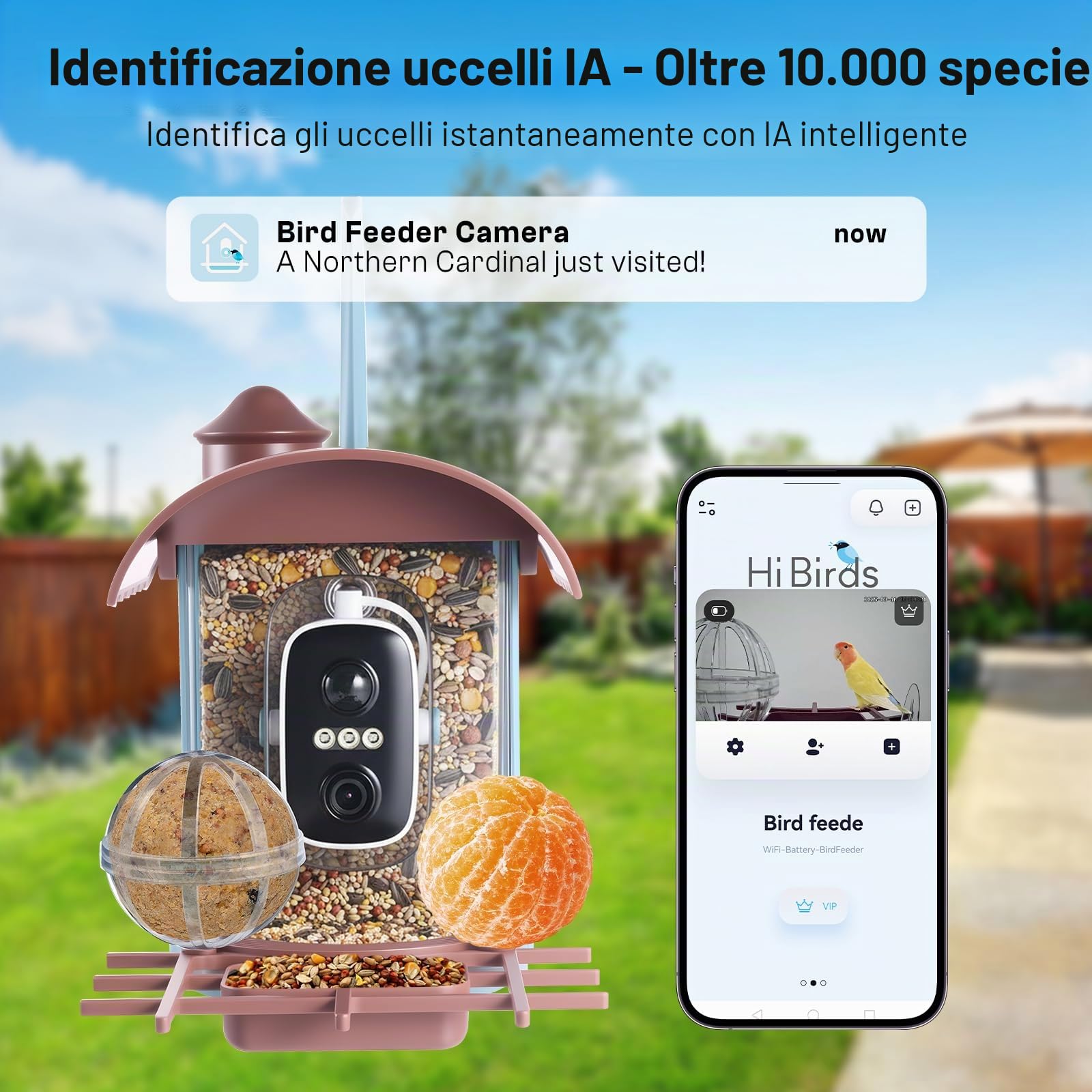 Casetta per uccelli con fotocamera da 4 MP, mangiatoia per uccelli a energia solare, mangiatoia per uccelli, registrazione video/foto, identificazione AI, rilevamento del movimento, notifica