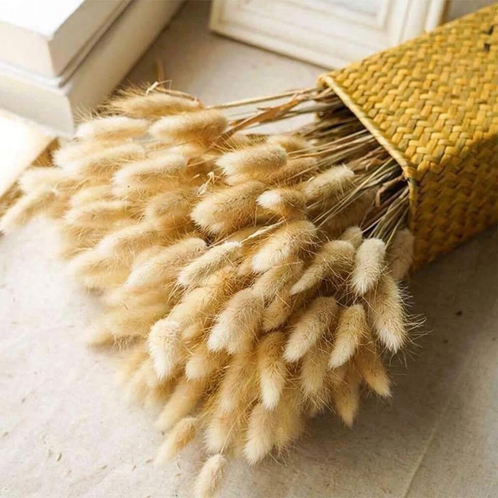 Flores secas de cola de conejo,100 piezas de 45 cm de flores secas, cola de conejo, de mesa, hierba de pampa esponjosa para arreglos florales, colas de conejo secas, del hogar de boda, estilo 5