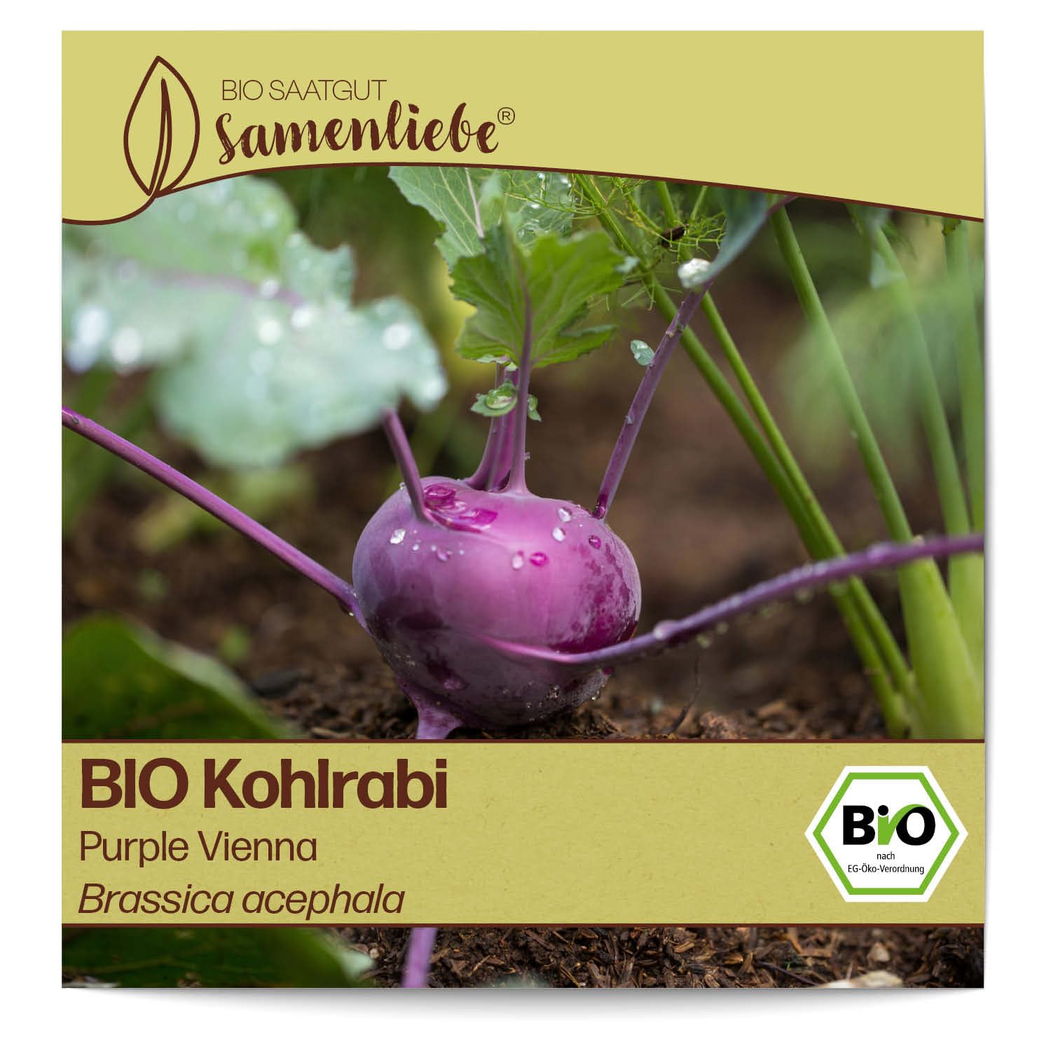 knstliche befruchtung hunde Neu!! Visuelle knstliche Befruchtung fr Hunde und TCI-knstliche  Befruchtung