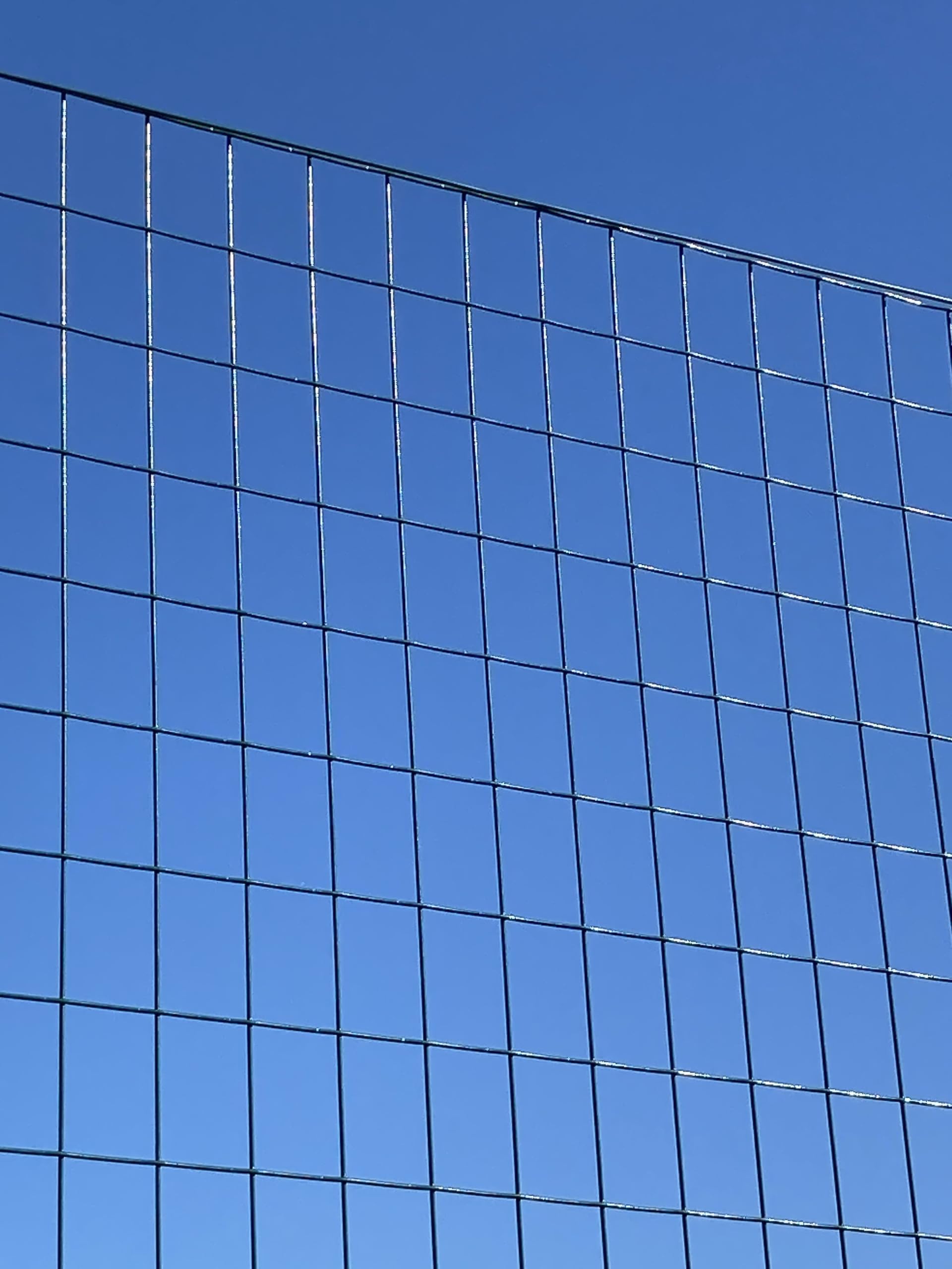 Es. Rete Recinzione Elettrosaldata Plastificata Verde – Rotolo 25 Metri Lineari – Diverse Altezze Disponibili – Maglia 50x76 mm, Filo Ø 2,6 mm – FENCESHOP (h 153 cm)