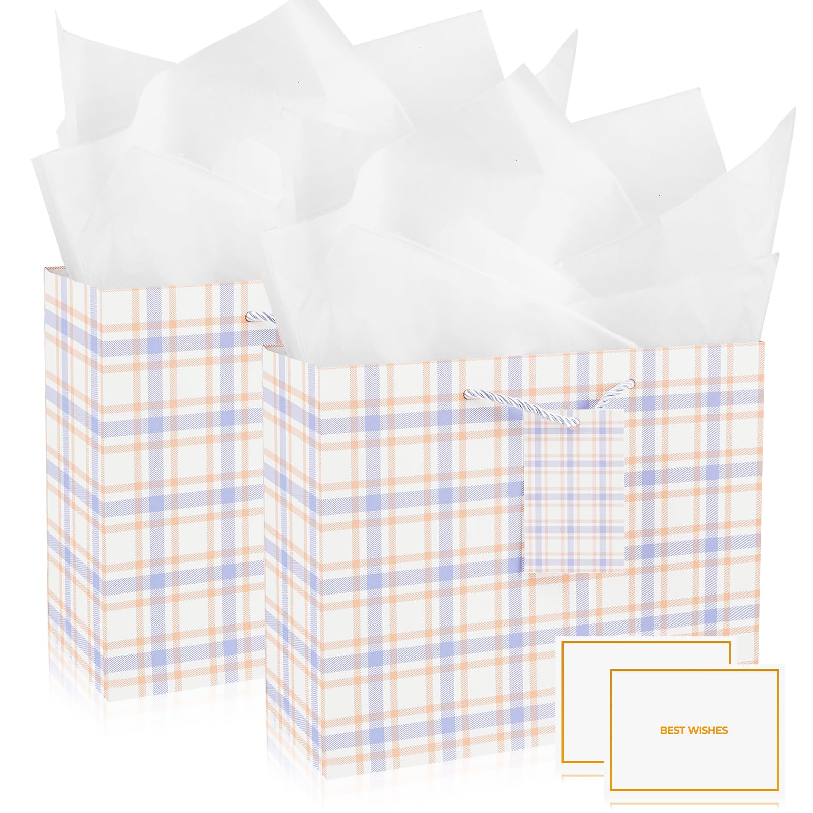 Gift Bags for Present, 2 Pcs Medium Gift Bag with 2 Wrappers and 2 Cards, Paper Gifts Bags with Handles for Women Men Birthday Wedding Party 24.5 * 19.5 * 9.5cm