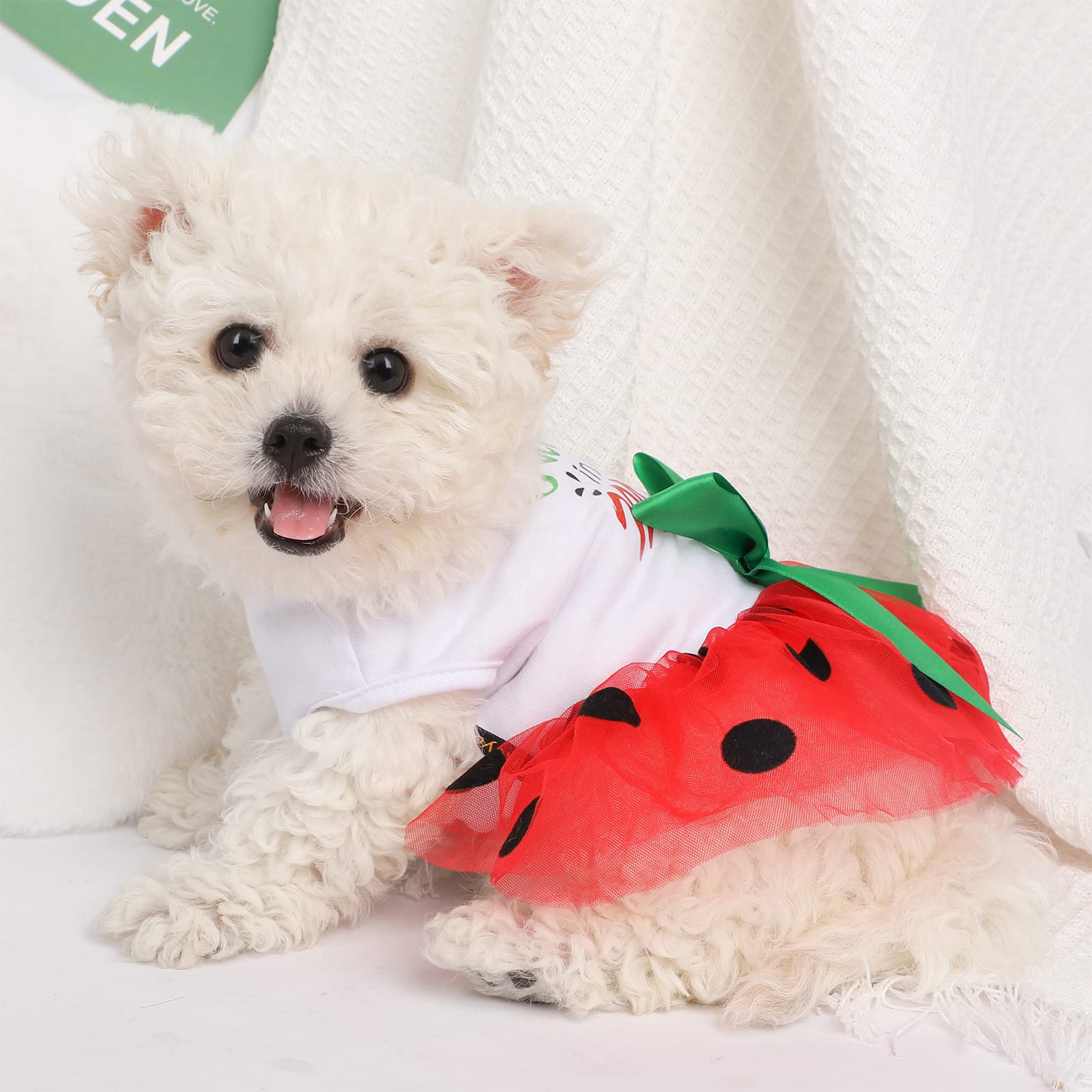 Amazon.com : Small Dog Dress for Girl Watermelon Polka Dots Mesh Outfit, Summer Fall Tutu Dresses Cat Apparel, Cute Pet Puppy Clothing Doggie Outfits (X-Small, Watermelon Red) : Pet Supplies Amazon.com : Small Dog Dress for Girl Watermelon Polka Dots Mesh Outfit, Summer Fall Tutu Dresses Cat Apparel, Cute Pet Puppy Clothing Doggie Outfits (X-Small, Watermelon Red) : Pet Supplies