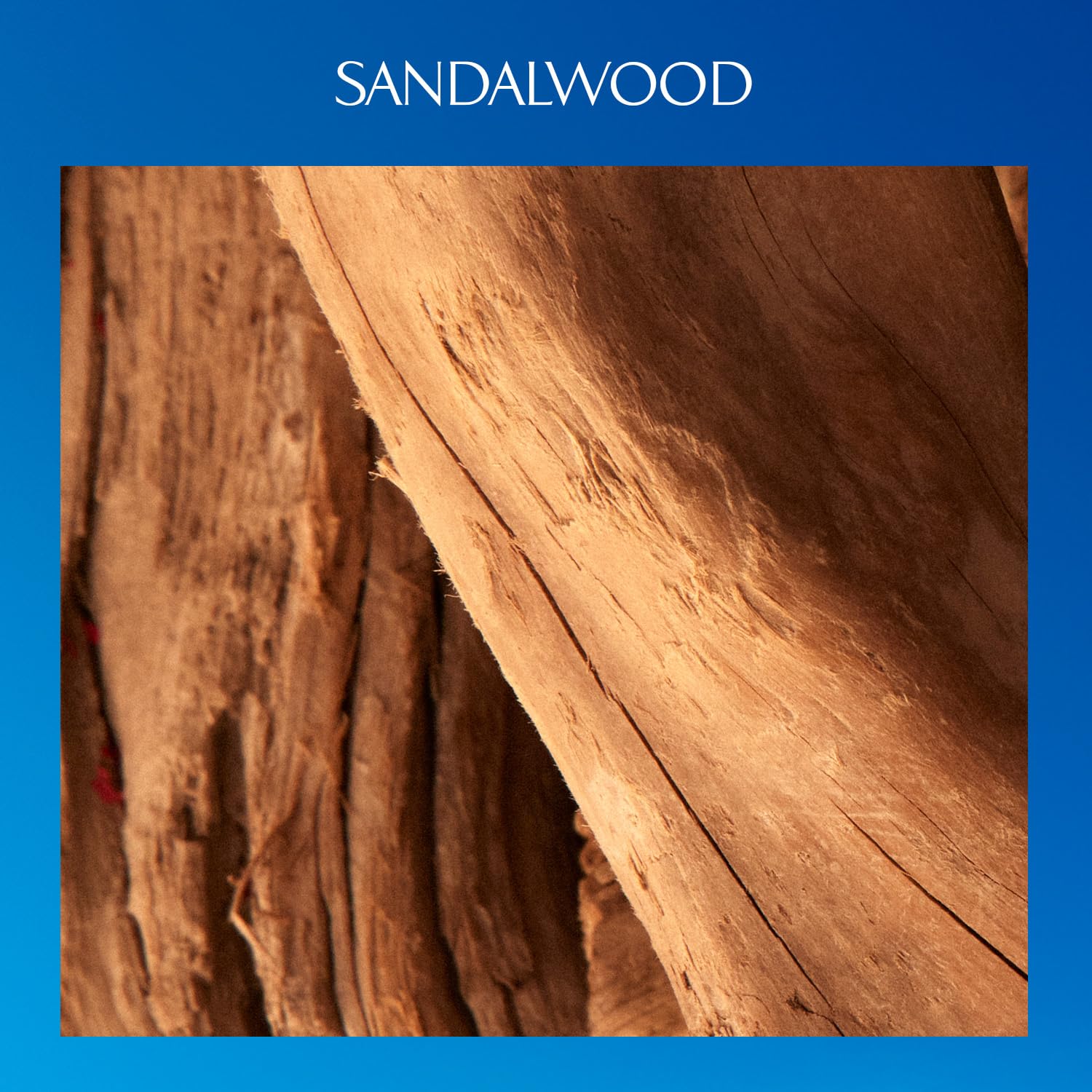 Davidoff Cool Water Parfum – Fougère-Duft für Herren – Mit rosa Pfeffer, Vetiver und Sandelholz – Langanhaltender Duft