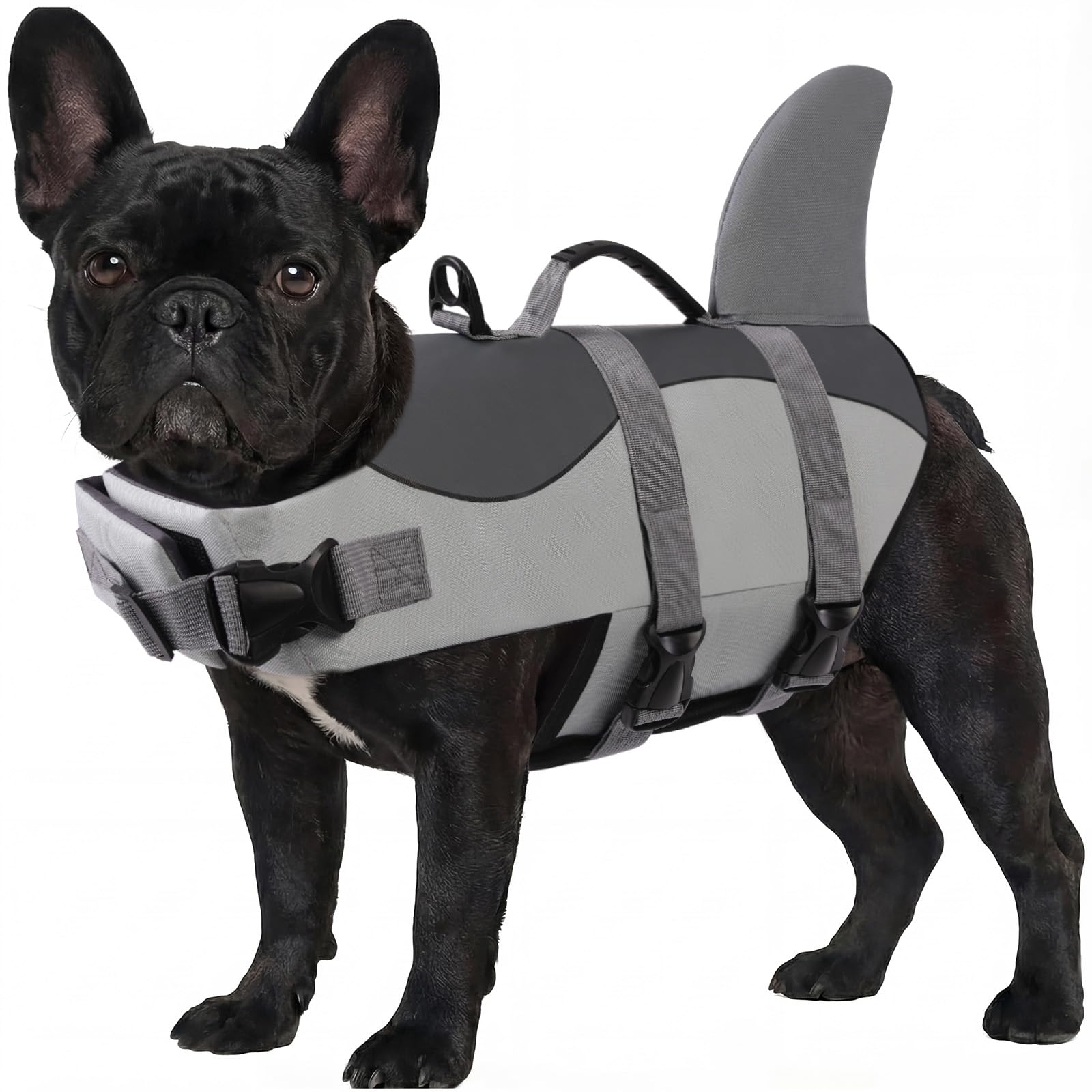 ASENKU Dog Life Jacket - Pet Safety Vest for Swimming & Boating, Shark Life Jacket with Floatation, Dog Lifesavers Swimsuits for Small Medium Large Dogs (Grey, S)
