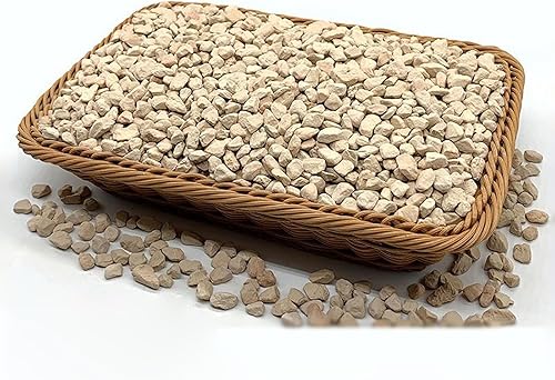 Rocas de Diatomita Premium de 2.5 libras Enmiendas del Suelo Tierra de Diatomeas (DE) Aditivo de Suelo para Suculentas, Cactus, Plantas de