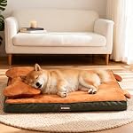 Lit pour chien orthopédique avec étrier amovible, lit pour animaux de compagnie lavable avec mousse à crate d'oeuf, lit de chien imperméable pour tête & Soutien des articulations, lit confortable pour animaux de compagnie avec oreiller et fond non patiné pour Kennel, Voyage