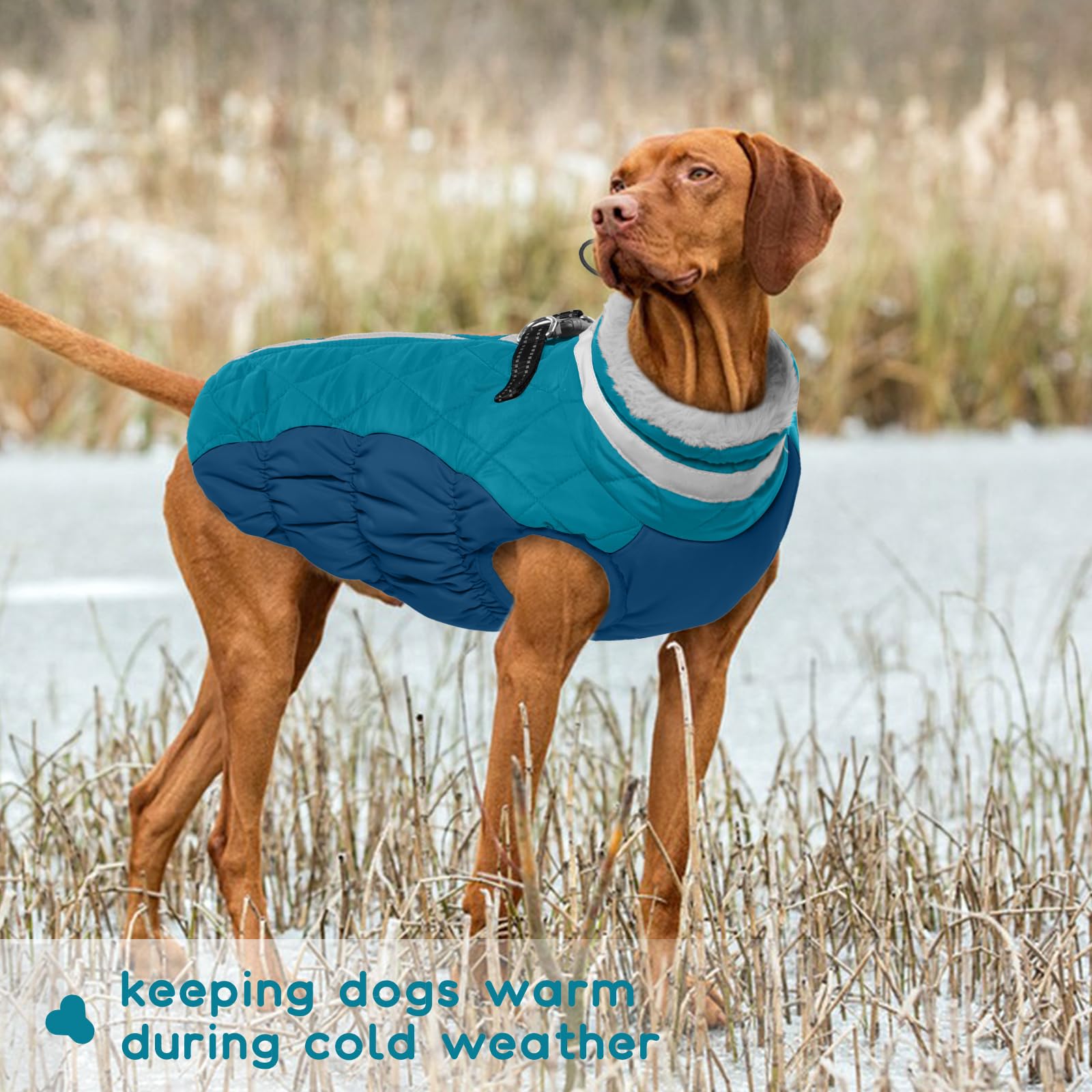 Hundemantel Wasserdicht, Warme Hundejacke Winter Jacke Winddichte Hundeanzug mit Reflektierender Streifen(Dunkelgrün, L)