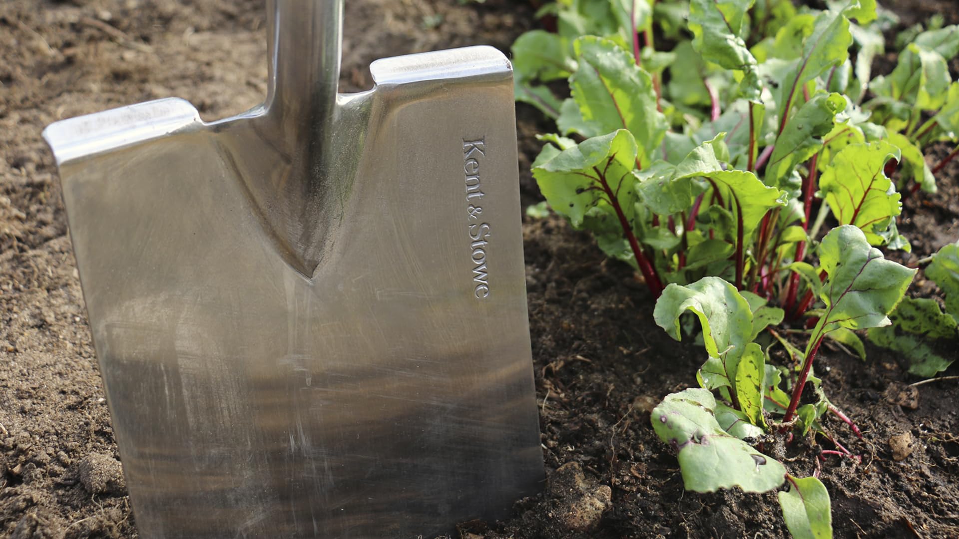 Kent & Stowe Vanga da Giardino Professionale - Acciaio Inossidabile Con Manico in Legno di Frassino, Lunghezza: 110 cm