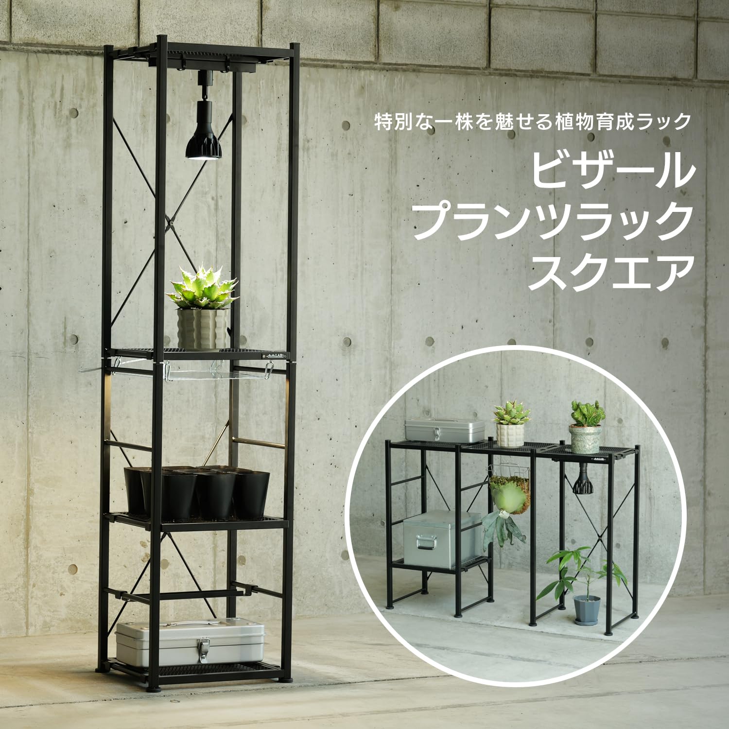 お値下げ交渉OK ビビラボ 植物ラック 3段 ブラック Amazon.co.jp: BIBILAB(ビビラボ) ビザールプランツラック スクエア