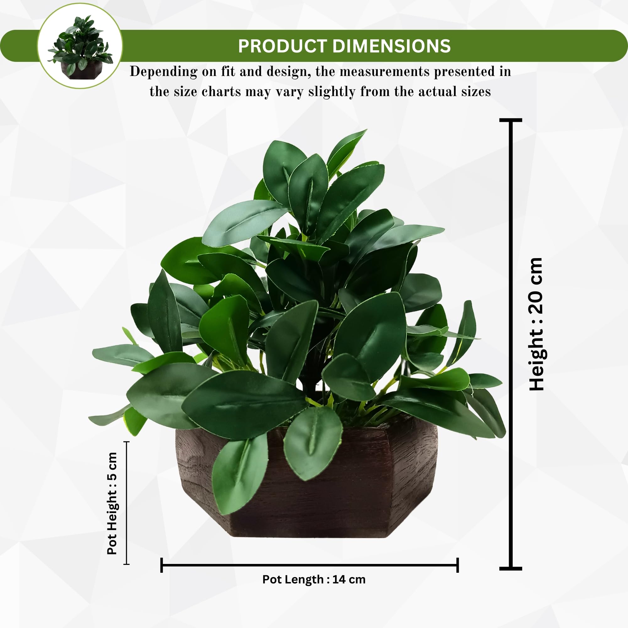 fancymart Artificial Ficus Leaves in Wood Hexagon Pot - 20cm Height - Home & Office Decor Elegant Potted Plant for Tabletop Enhancement (Pack of 1) 4