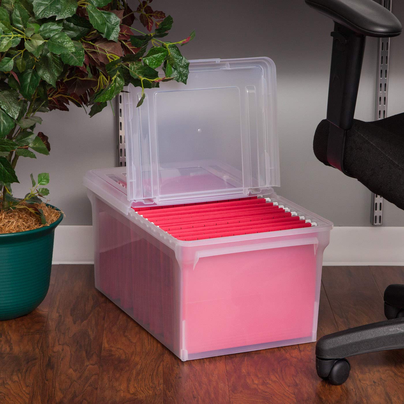 EGP Check Storage Box, 10