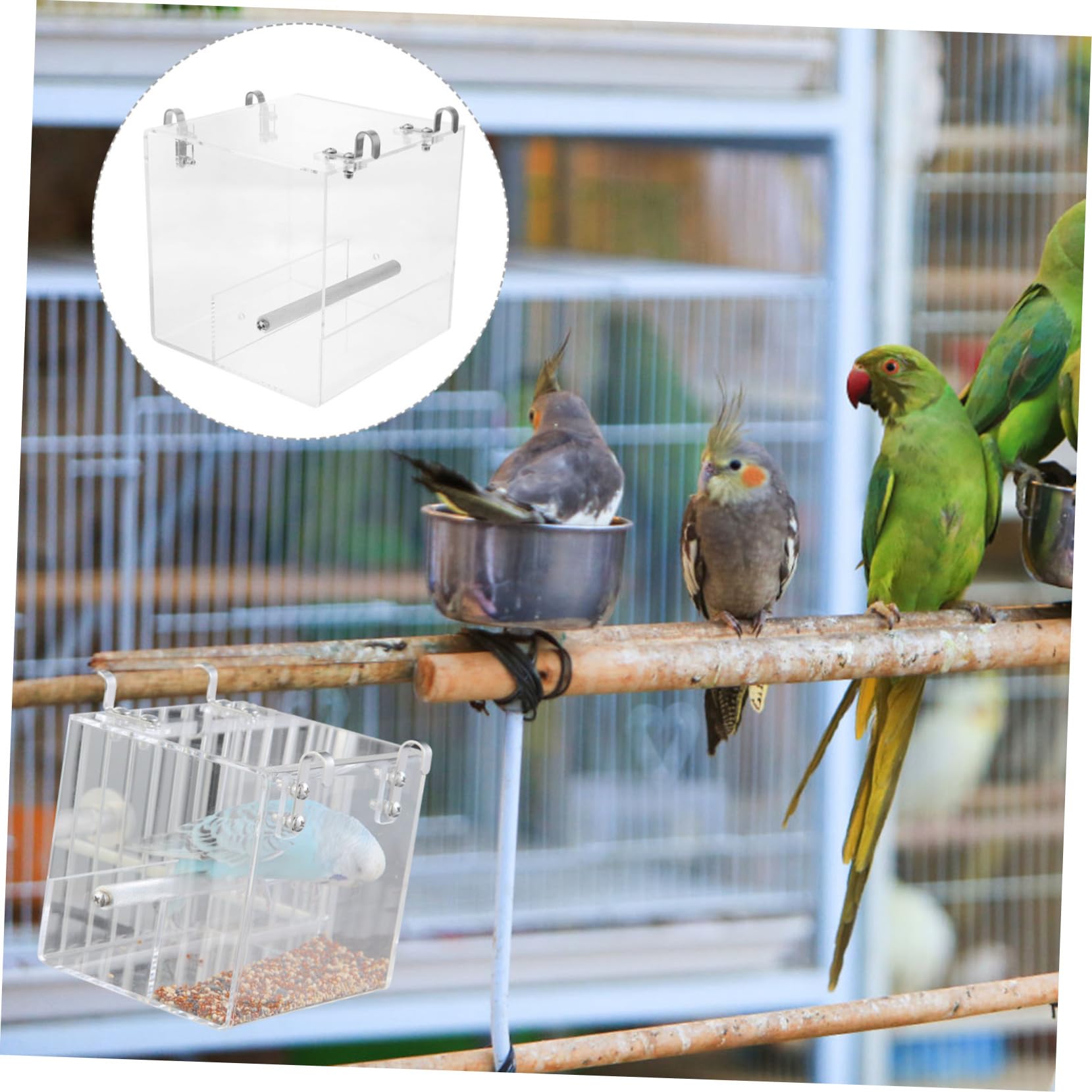 Mangiatoia Automatica in Acrilico per Pappagalli Grandi Ciotola per Acqua e Cibo da Facile da Installare e Pulire per Gabbie e Voliere di Uccelli Piccoli