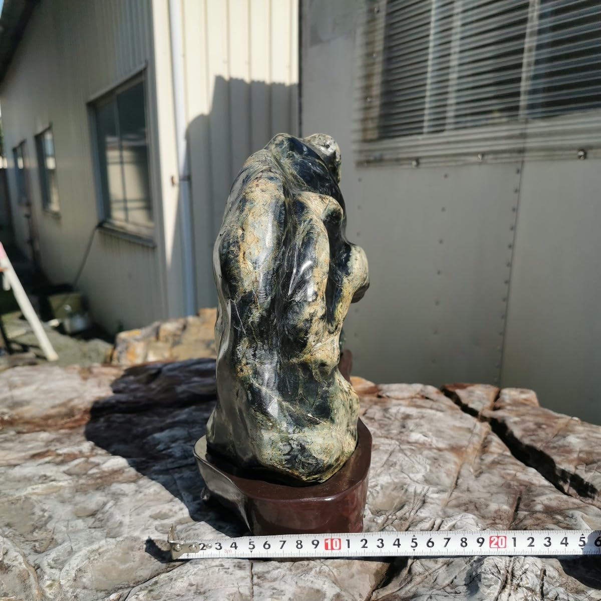 Amazon.co.jp: 特大蛇石13.5キロ 庭石鑑賞石石盆石水石灯籠庭坪庭盆栽 