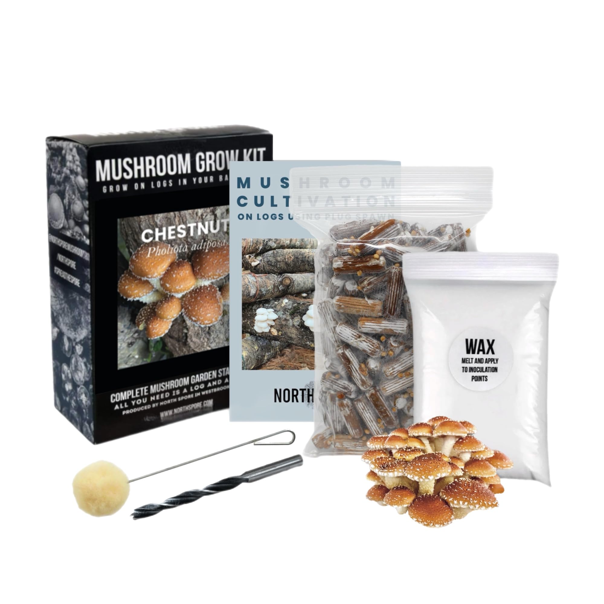 North Spore Chestnut Mushroom Log Kit, Outdoor DIY Mushroom Kit, Easy & Fun  Wellness Hobby, Includes 100 Count Mushroom Plugs for Logs, Made in USA,  Gourmet Culinary Mushrooms, Medicinal Mushrooms : Amazon.sg:
