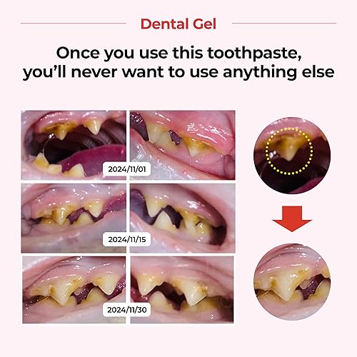 Miniatura 5 de JAYU PET Gel dental - Pasta de dientes para perros y gatos, eliminación de placa y sarro, limpieza de dientes y ambientador de aliento, cuidado