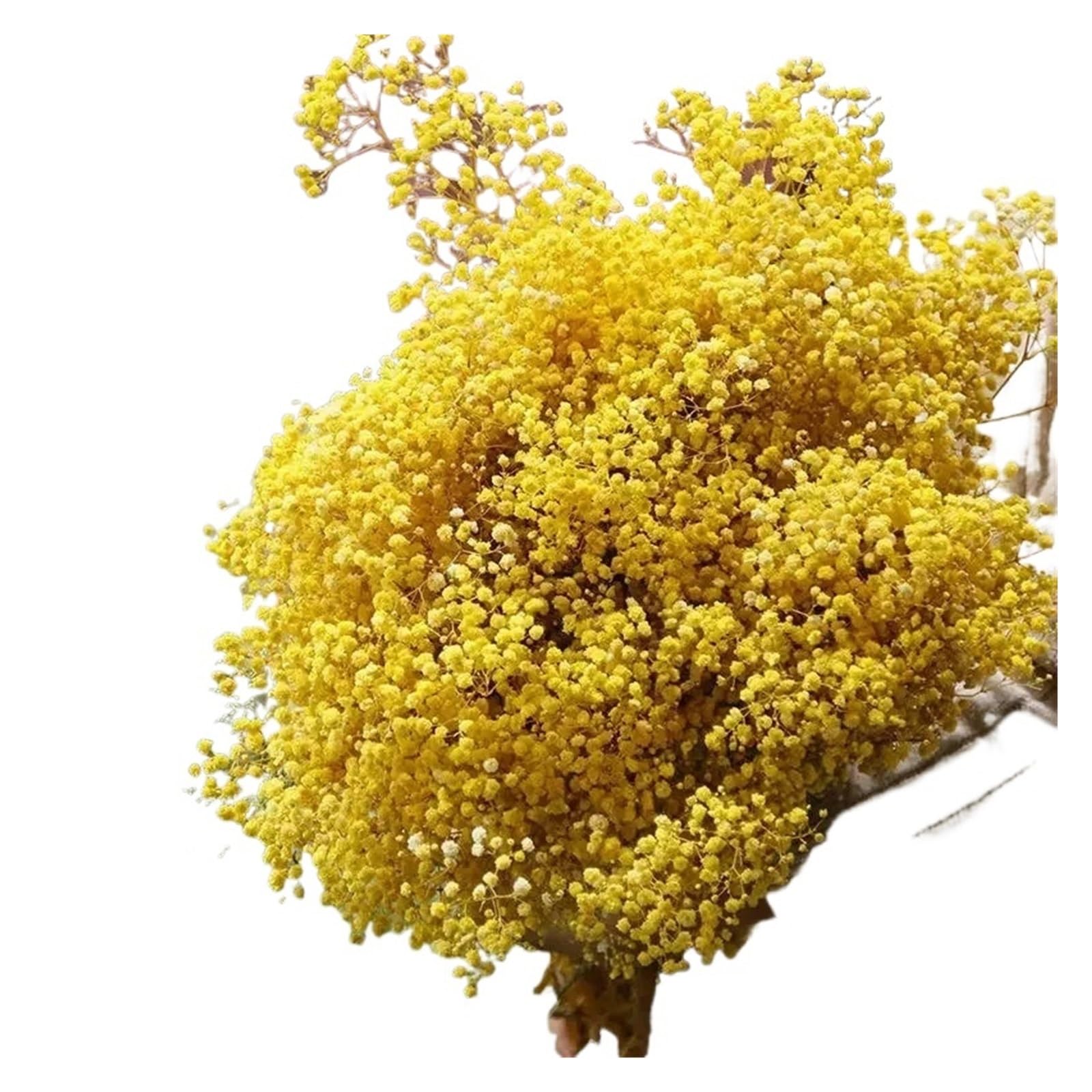 WJIAYAO dried gypsophila flowers 110g Gypsophila Dried Flowers Home Decor Artificial Flower Baby Breath Wedding Head Table Bride Bouquet(Yellow)