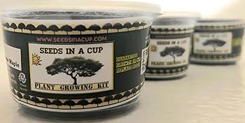 716Qms7CCgL._AC_UF350,