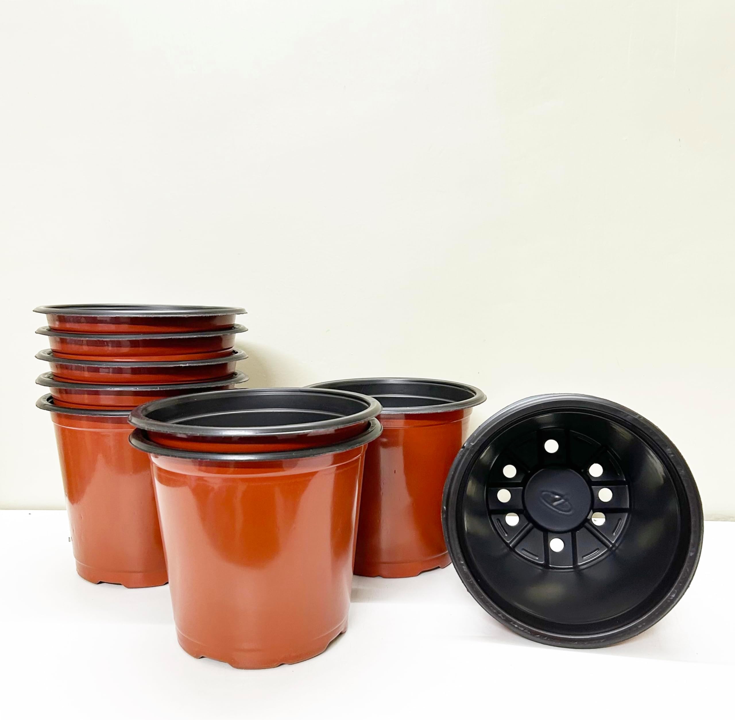 Sapling's World 5 inch Size Thermoform Plastic Flower Pots (Pack of 50) | Flexible & Unbreakable, Multiple Holes for Better Drainage, Best for Nursery, Terace & Indoor Plants