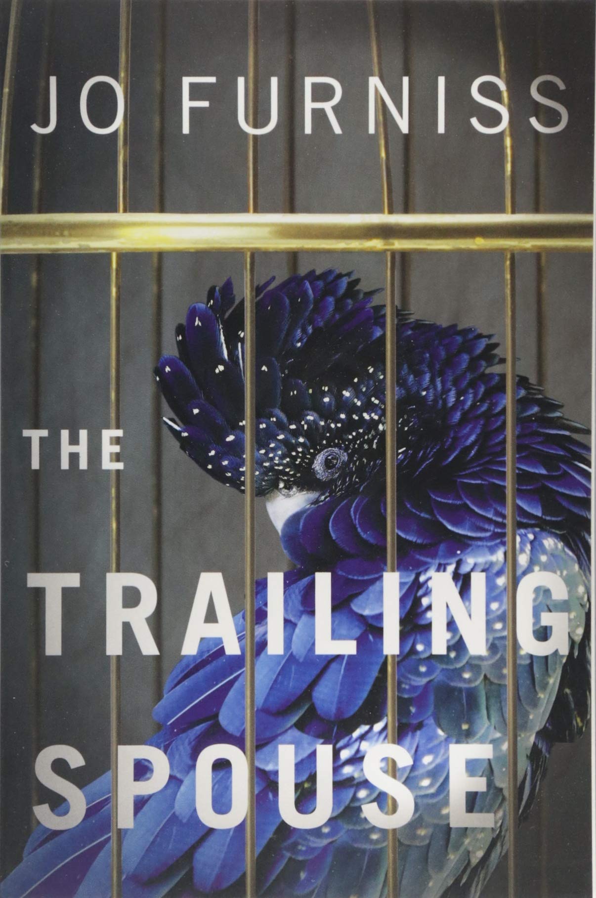 The Trailing Spouse by Jo Furniss (Paperback Book)