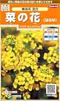 Amazon | サカタのタネ 実咲花7460 菜の花 寒咲系混合 00907460