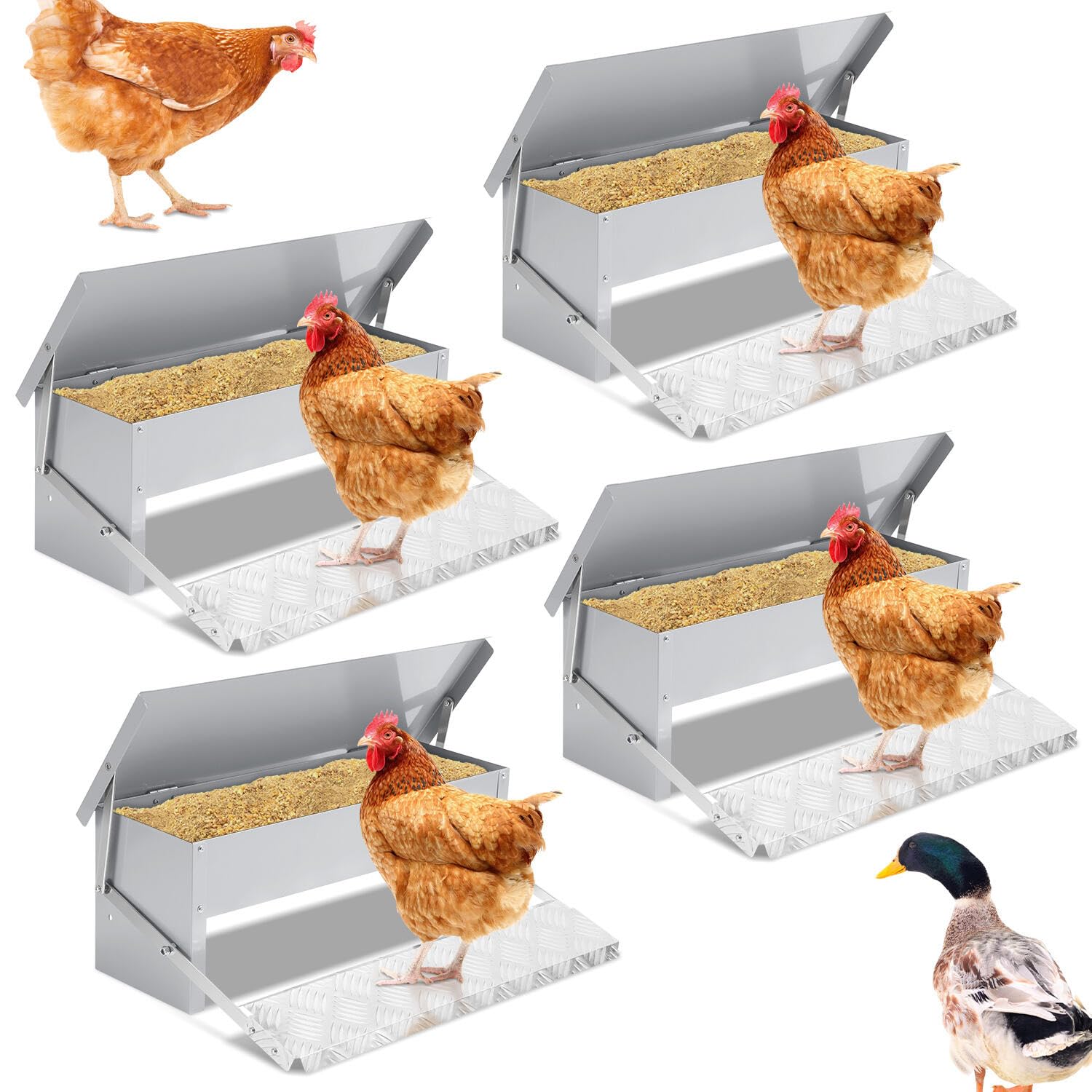 Comedero automático, comedero con pedal automático y manta impermeable, alimento para pollos para aves de corral, 4 comederos automáticos de 5 kg, con protección para ratones, galvanizado