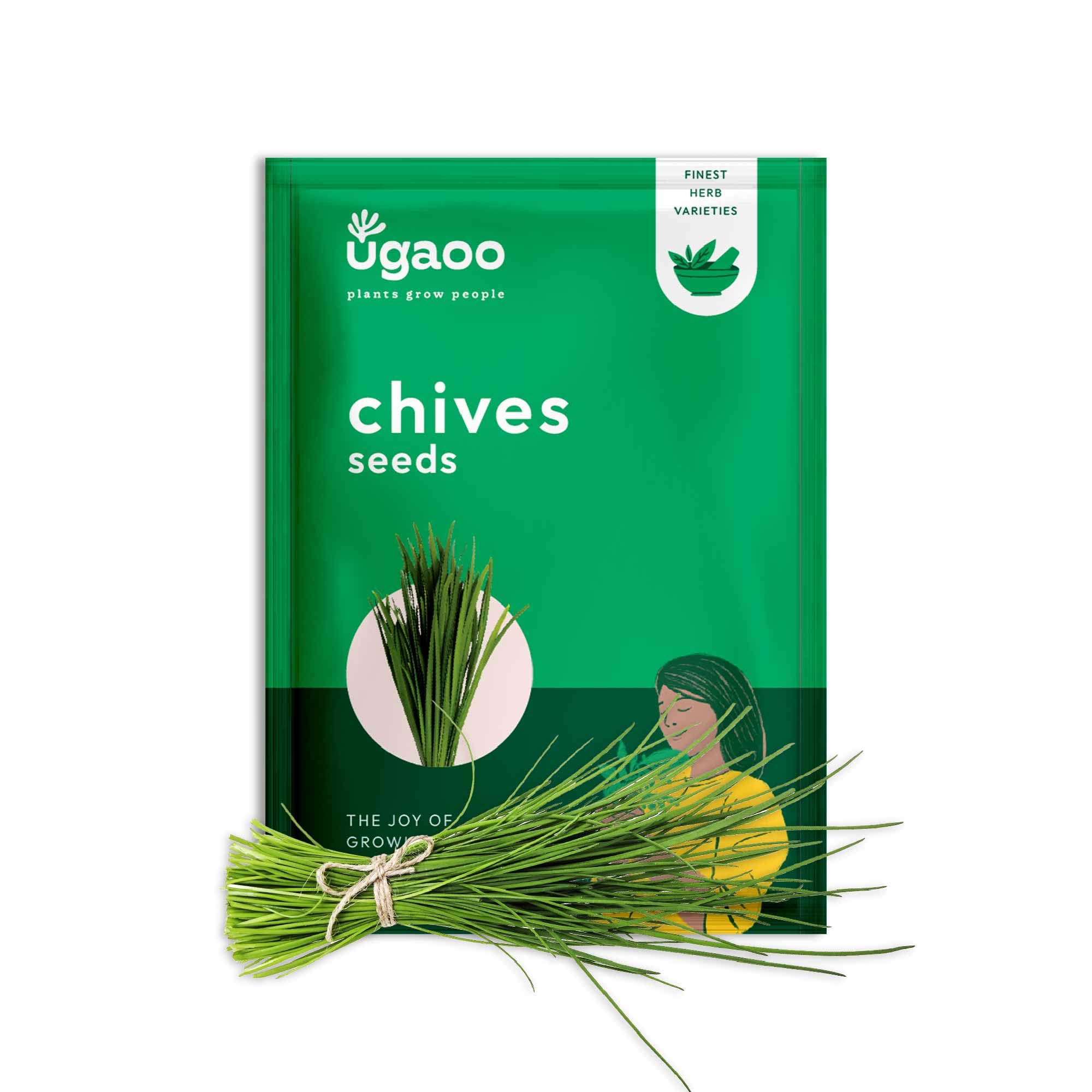 UGAOO Chives Herb Seeds (Green, Pack of 500) (B09MLNQYN5) Amazon Price History, Amazon Price Tracker