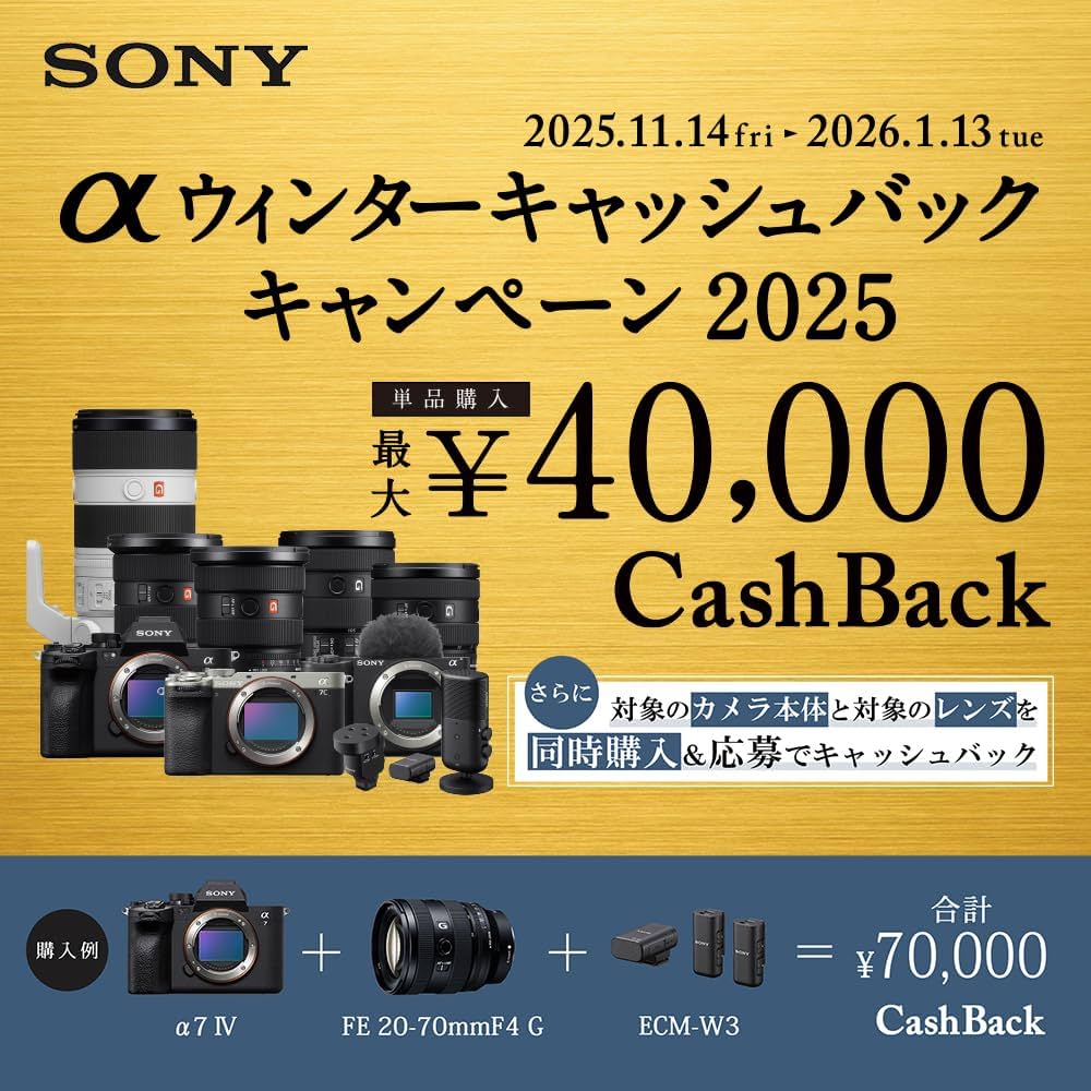 Amazon.co.jp: SONY(ソニー) 広角単焦点レンズ フルサイズ FE 24mm F1