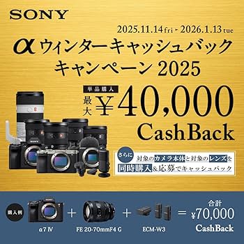 Amazon | SONY(ソニー) 【レンズ と プロテクター セット】 大切な