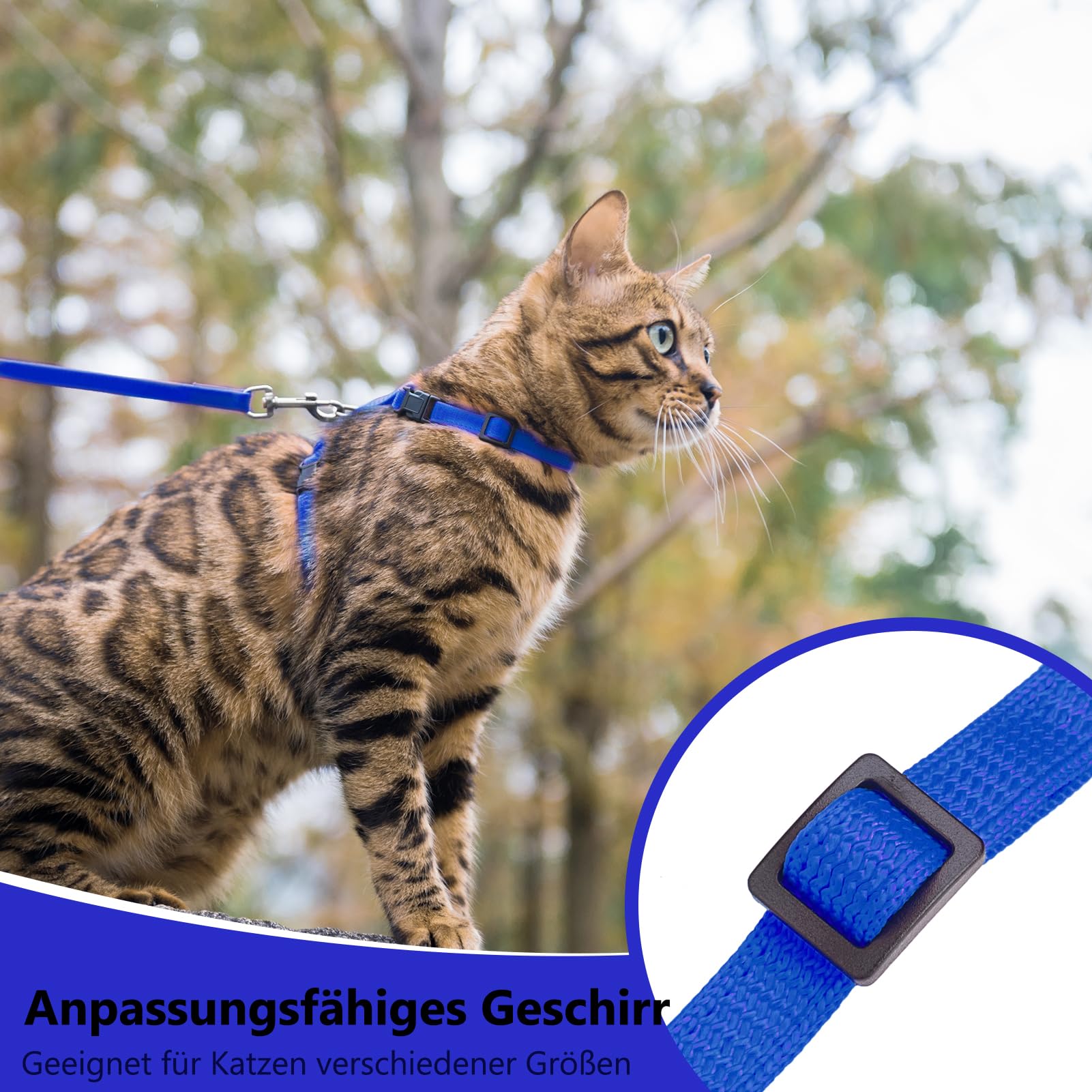 Correa Para Gato Nobby Azul - 3 Mm Grosor, 5 M De Longitud, Nailon Resistente Para Paseos Seguros