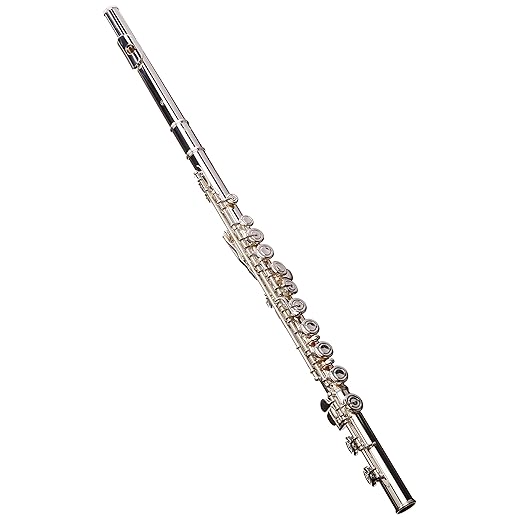 Yamaha YFL-222 Intermediate Flute for Student (International Version)