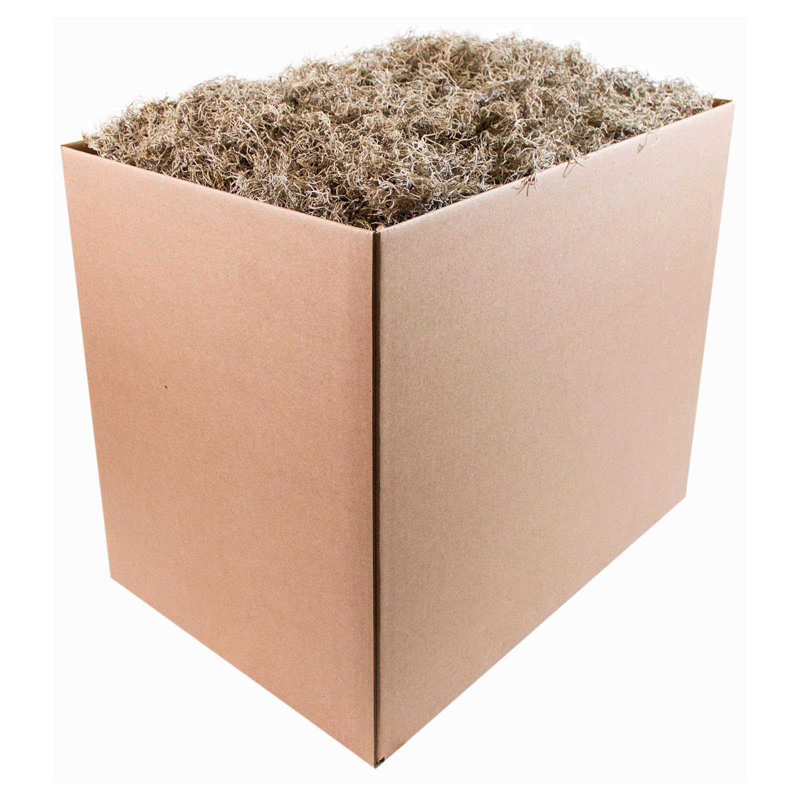 SuperMoss Spanish Preserved Swirly Moss, Natural