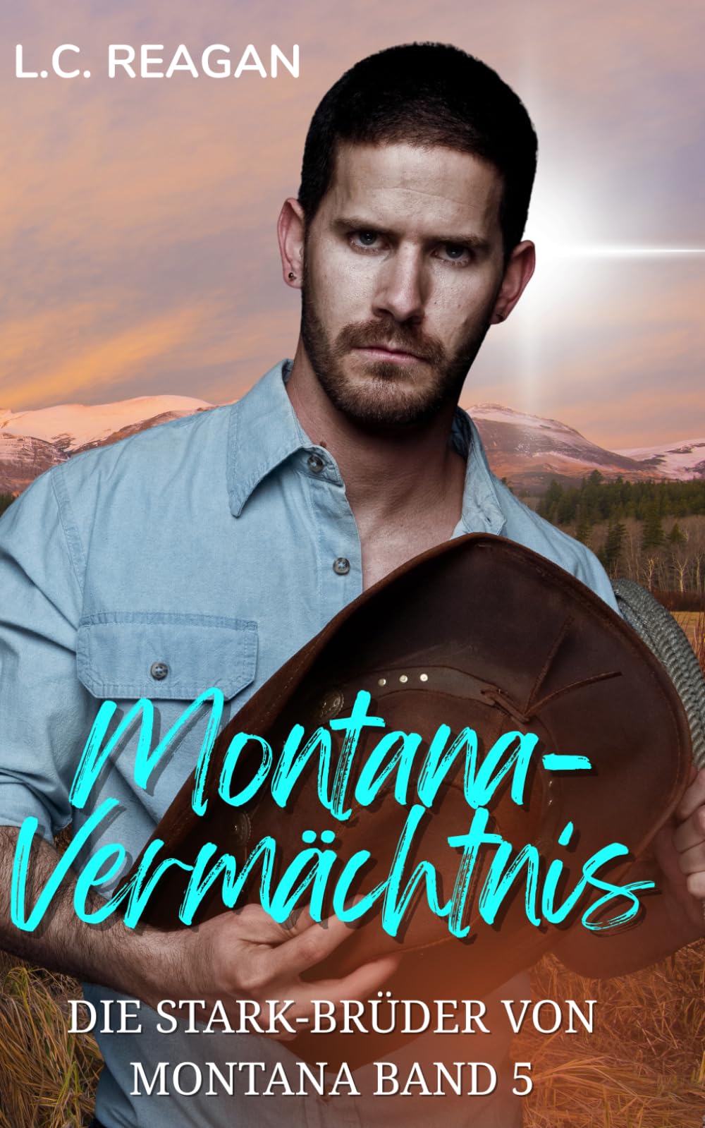 Montana-Vermächtnis: Ein verbotener Kleinstadt-Cowboy-Liebesroman (Beaus Geschichte) (Die Stark-Brüder von Montana)