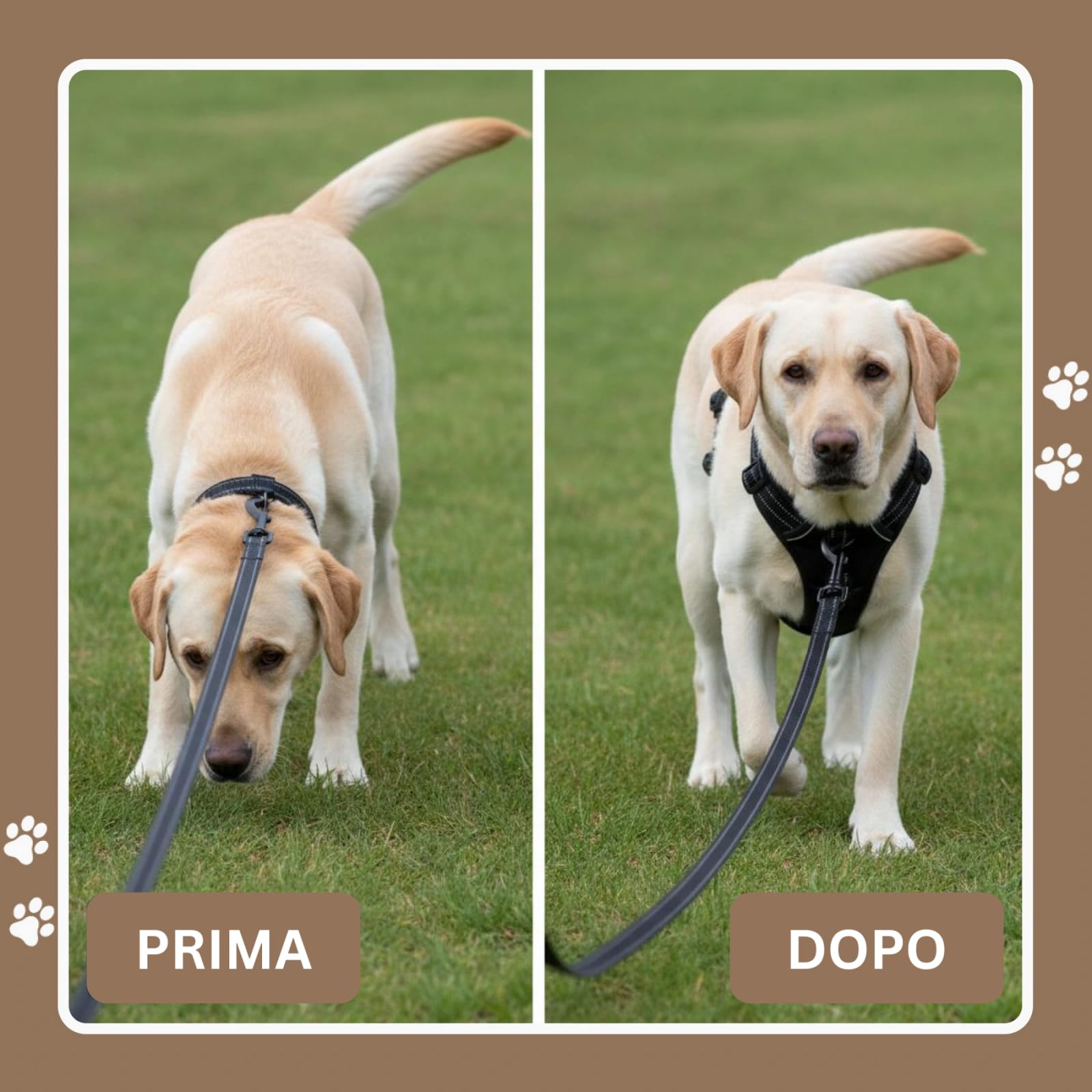 Cosyrae Pettorina Anti Tiro,Pettorina per Cane Anti-tiro,Morbida e Imbottita con Fibbia Regolabile e Anello Rinforzato,Riduce Strattoni per Passeggiate