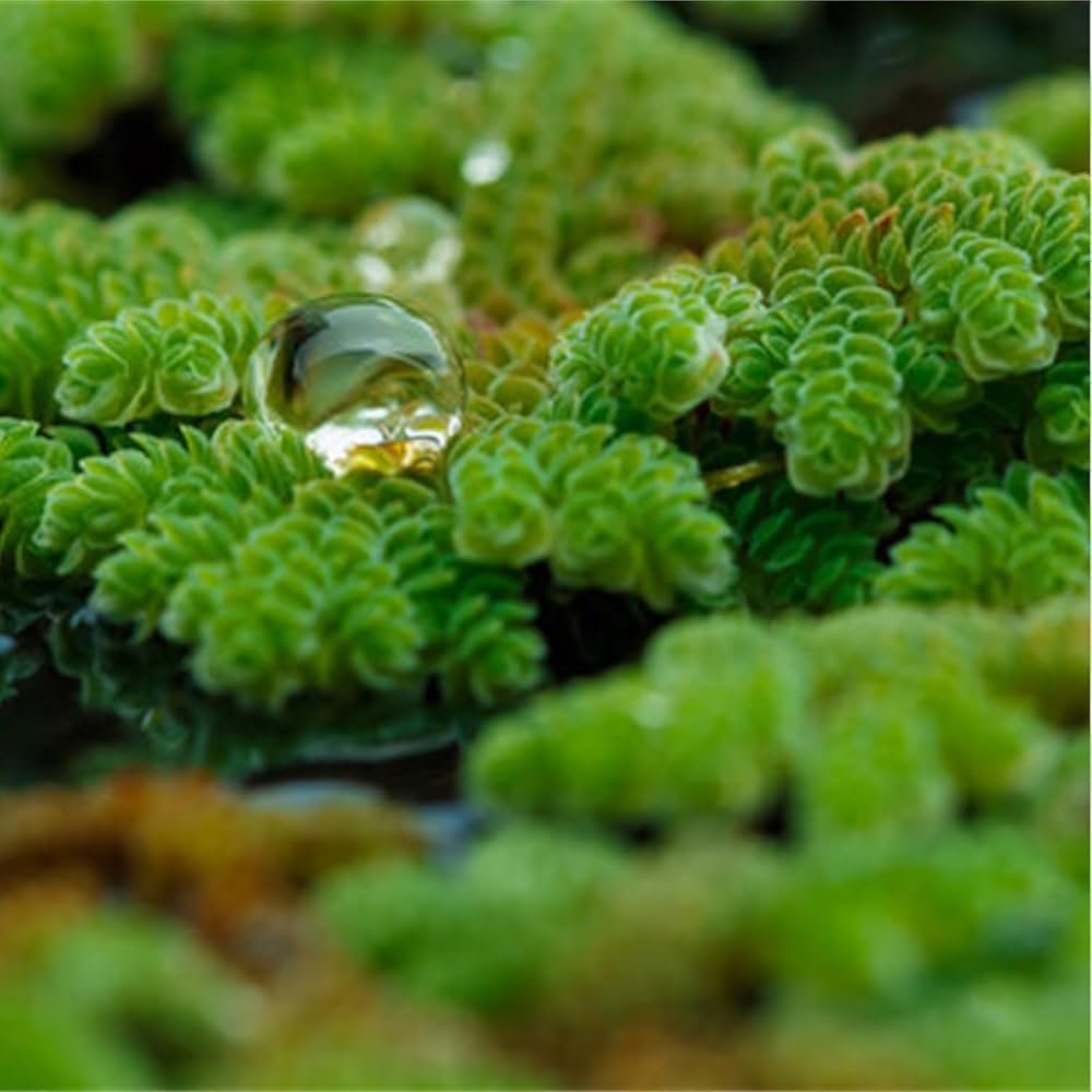 Bir dostim gozal onasi bilan jinsiy aloqa video 65 yoshdan oshgan ikki keksa odam bilan porno tomosha qiling