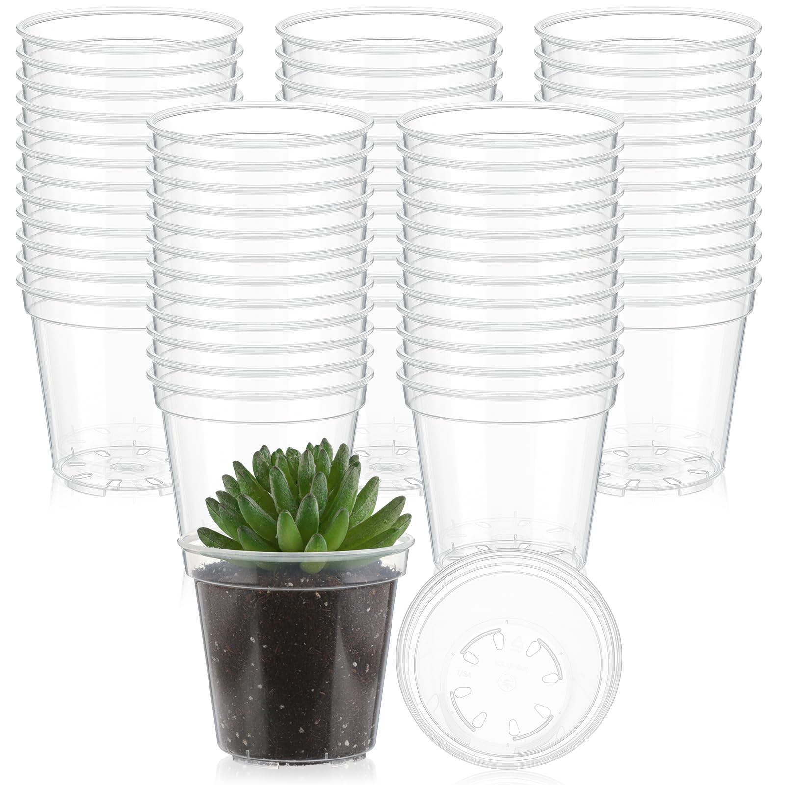Pots de fleurs en plastique transparent à trous de drainage pour la pousse des succulentes