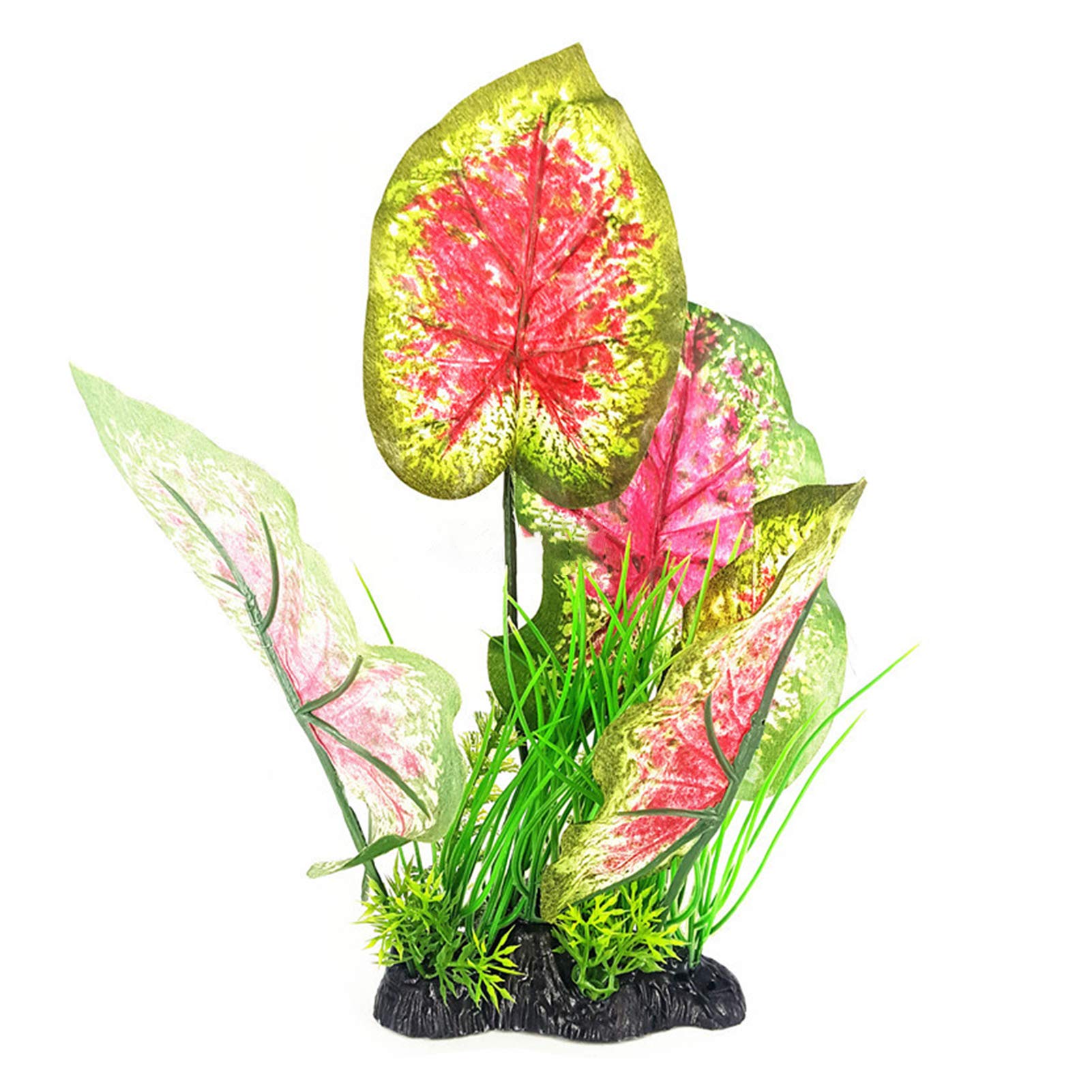 fernwood mikado snake plant Mikado Snake Plant  Plant Detectives