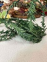 Vista 6 de Mini Wild Leaves Greenery Garland 6 Ft Length