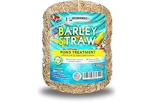 Barley Straw Bales: Pure Water for Your Pond