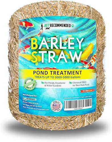 Paja de cebada para estanques de peces y fuente (16 onzas). Trata hasta 3000 a 5000 galones, limpiador de estanques 100% seguro y natural. Mantiene