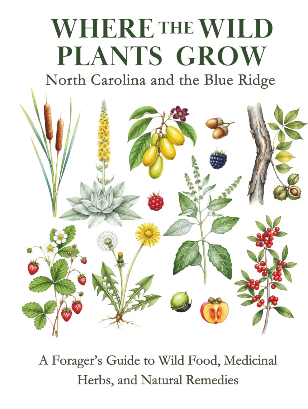 Where the Wild Plants Grow: North Carolina and the Blue Ridge: A Forager's Guide to Wild Food, Medicinal Herbs, and Natural Remedies (Where the Wild Plants Grow: Illustrated Foraging Guides)