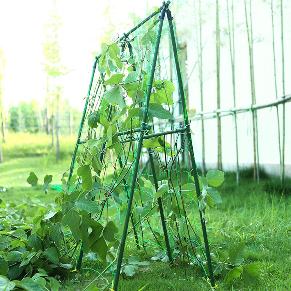 Filet de Jardin, Filet à Plantes Grimpantes,Filet Potager Grimpant,pour Récolte Filet Anti-Oiseaux pour Plantes Grimpantes, Concombres, Tomate (2 m x 3 m, 10 cm Filet de Jardin, Filet à Plantes Grimpantes,Filet Potager Grimpant,pour Récolte Filet Anti-Oiseaux pour Plantes Grimpantes, Concombres, Tomate (2 m x 3 m, 10 cm