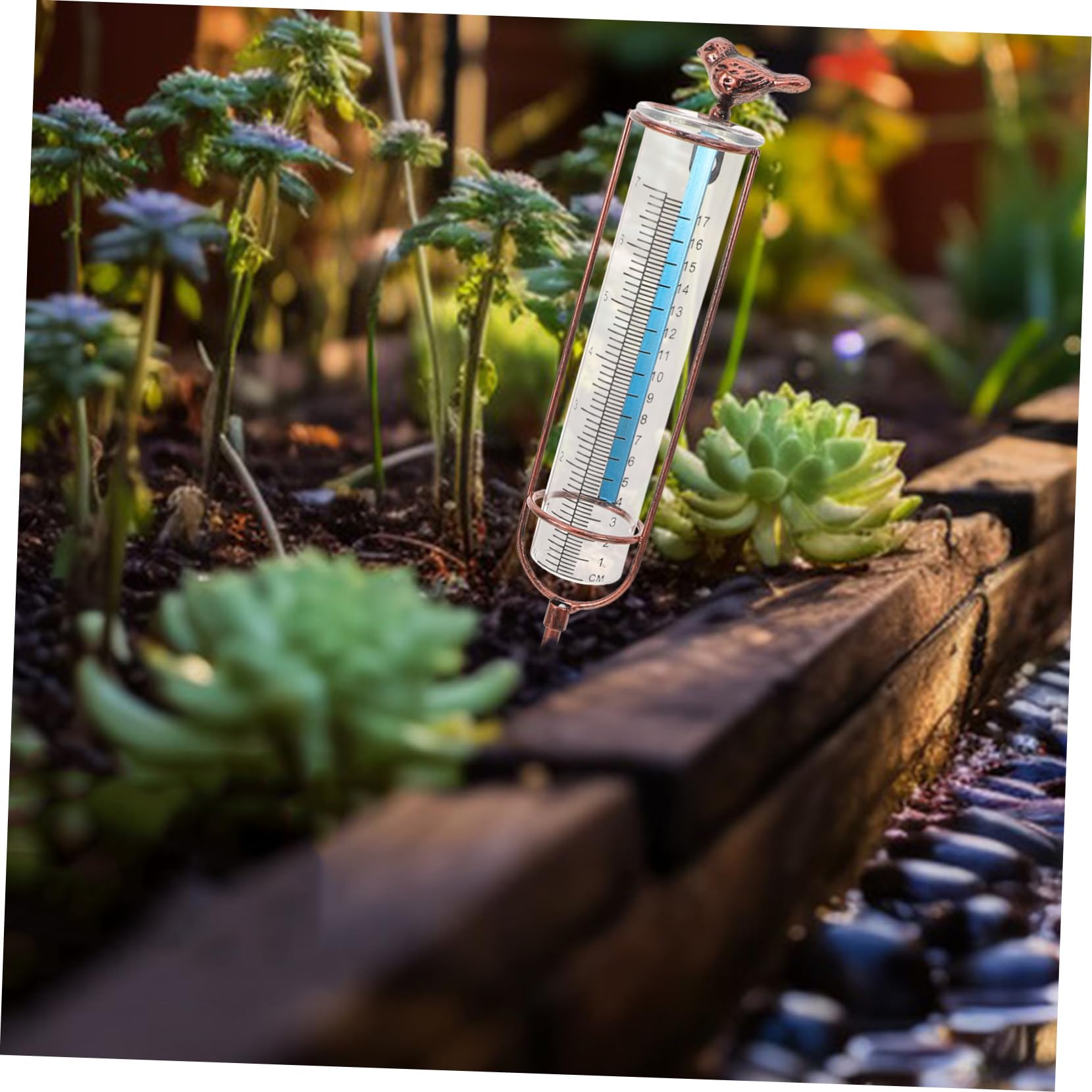 GLEAVI 5pezzi Misuratore Di Pioggia Con Tubo Graduato Per Esterni Sostituzione Tubo Per Pluviometro Design Elegante e Resistente Per Giardino e Cortile
